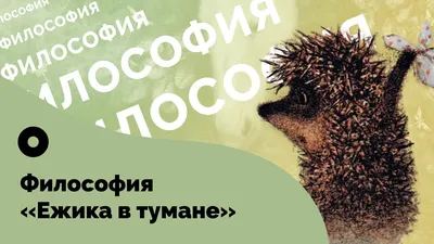 Отзывы о кальянной «Ежик в тумане» / «Гамачная №1» в Москве картинки