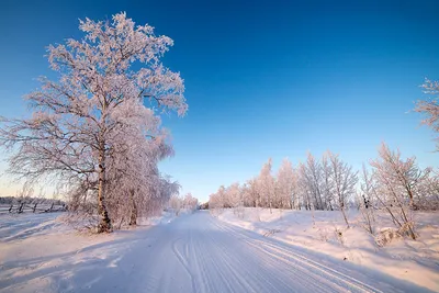 Зима Якутии, вспомним красоту зимы (ФОТО) | Пикабу картинки