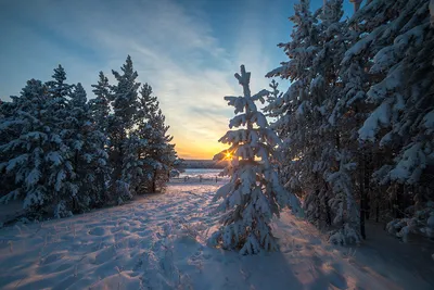 Зима Якутии, вспомним красоту зимы (ФОТО) | Пикабу картинки