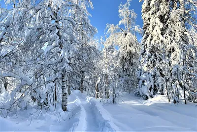 Картинки красота снега (67 фото) » Картинки и статусы про окружающий мир  вокруг картинки