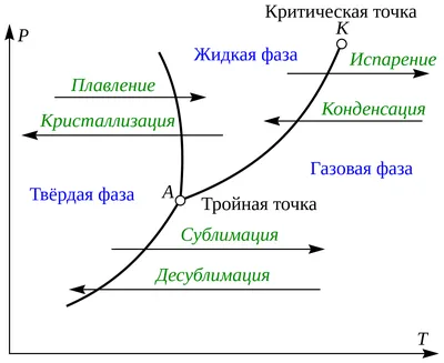 Такие бархатные тяги, кефтеме» Автор легендарного мема не хотел славы.  Почему он решил построить на нем бизнес-империю?: Интернет: Интернет и СМИ:  Lenta.ru картинки