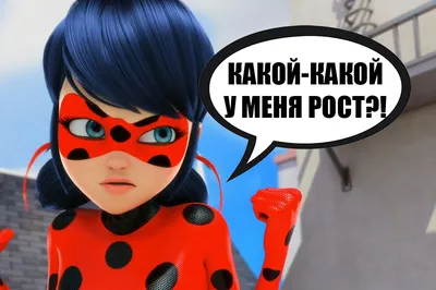 Игровой набор Леди Баг : йойо, акума, маска \"Леди Баг и Супер-Кот\"  Miraculous Ladybug Dress Up Set S2 (ID#1714833380), цена: 850 ₴, купить на  Prom.ua картинки