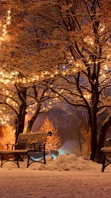 Magical music of winter. Snow fell! One of the most beautiful, magical  winter melodies! WINTER, SNOW - YouTube картинки