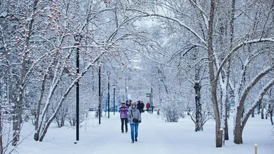 Десять самых красивых описаний снега и зимы в английской литературе - ZIMA  Magazine картинки