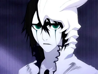 Pin by Торя Топ on Улькиорра/ulquiorra ❤️❤️❤️ | Bleach anime, Bleach  characters, Anime картинки