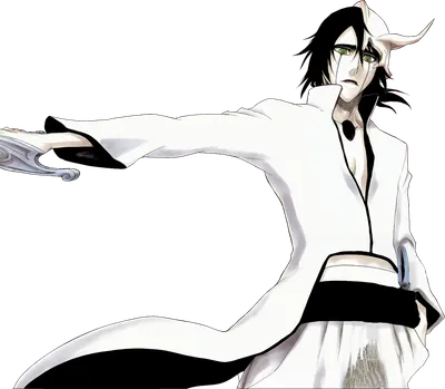 Ulquiorra Cifer | Fight of Characters Wiki | Fandom картинки