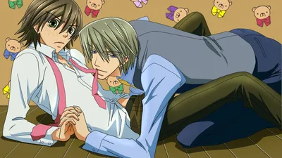 Чистая романтика / Junjou Romantica (2008): рейтинг и даты выхода серий картинки