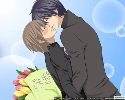 Чистая романтика / Junjou Romantica (2008): рейтинг и даты выхода серий картинки