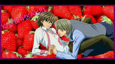 LOL this wasn't in the anime. - Junjou Romantica (Чистая романтика) фото  (34581790) - Fanpop картинки