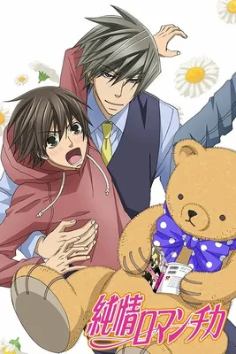 Светильник аниме Чистая романтика Junjou Romantica яой №946228 - купить в  Украине на Crafta.ua картинки