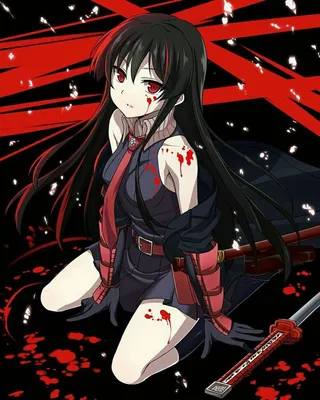 Pin by Raditya on Akame Ga Kill | Akame ga, Anime girl, Female anime картинки