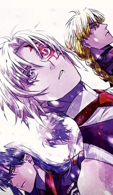 D.Gray-Man: Erste Blu-Ray-Box kann vorbestellt werden картинки