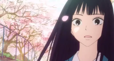 Манга Дотянуться до тебя | Kimi ni Todoke — Магазин Life in Japan картинки