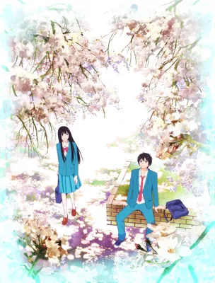 Аниме «Дотянуться до тебя» / Kimi ni Todoke / Kimi ni Todoke — трейлеры,  дата выхода | КГ-Портал картинки