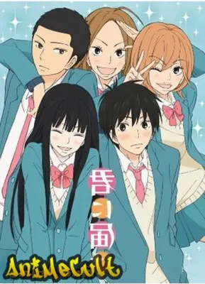 Манга Дотянуться до тебя | Kimi ni Todoke — Магазин Life in Japan картинки