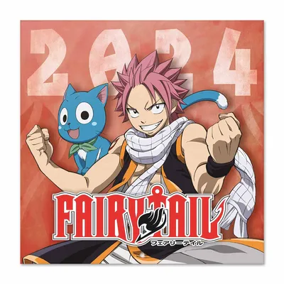 FAIRY TAIL - 100 YEARS QUEST - VOLUME 13 – J-Store Online картинки