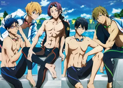 Пазл Free! (размер A3, 252 детали) 339885 - купить недорого картинки