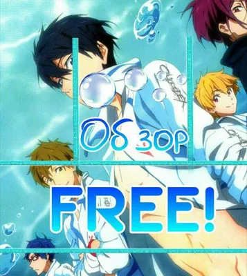 🦈Реакция вольный стиль 🐬 | Free anime, Anime, Swimming anime картинки