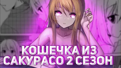 Кошечка из Сакурасо 2 сезон дата официальная информация💗 - YouTube картинки