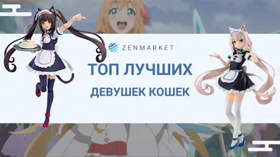 Топ-15 милых аниме-кошкодевочек – кто ваша любимица? - ZenMarket.jp картинки