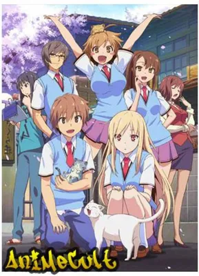 Смотреть Аниме Кошечка из Сакурасо | The Pet Girl of Sakurasou | Sakurasou  no Pet na Kanojo бесплатно онлайн картинки