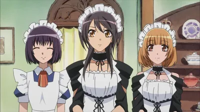 Президент Студсовета - Горничная! / Kaichou wa Maid-sama! - «Может ли  служанка, быть президентом? » | отзывы картинки