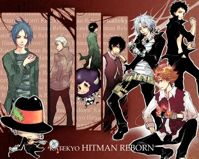 Репетитор киллер Реборн, Аниме, Хибари Кёя, Вонгола | Hitman reborn, Reborn  katekyo hitman, Hitman картинки