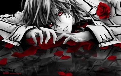 Обои на рабочий стол Канаме Куран из аниме Рыцарь-Вампир / Vampire Knight  (wallpaper by theJADEDnetwork), обои для рабочего стола, скачать обои, обои  бесплатно картинки