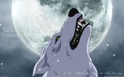 Wolf's Rain | page 2 of 7 - Zerochan Anime Image Board картинки