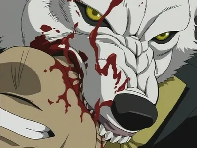 Eyes on Fire by Akadafeathers on DeviantArt | Wolf's rain, Anime wolf, Anime картинки