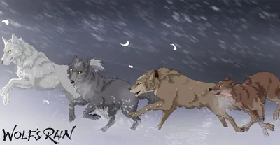 Пин от пользователя Catalina Alzate на доске Wolf's Rain | Волчий дождь,  Вампиры, Аниме картинки