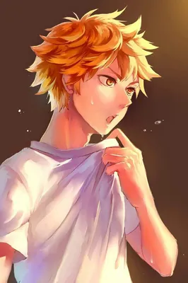 Хината Шоё | Wiki | Волейбол!!/Haikyuu!! [RUS] Amino картинки