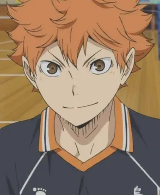 Хината Сё/Hinata Shōyō | Wiki | Волейбол!!/Haikyuu!! [RUS] Amino картинки