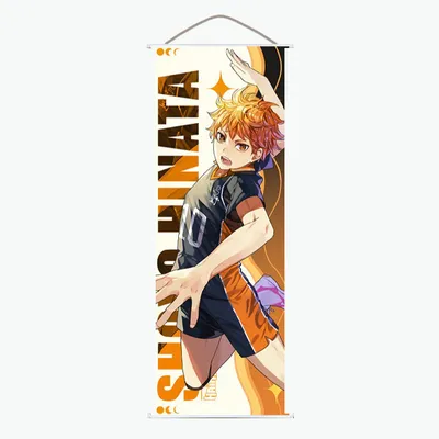 Хината Шоё | Wiki | Волейбол/Haikyuu[RUS] Amino картинки