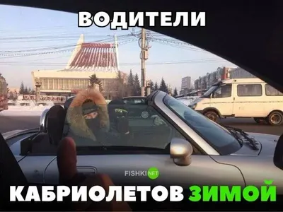 авто #приколы #автомобиль #светофор #ахах | Instagram картинки