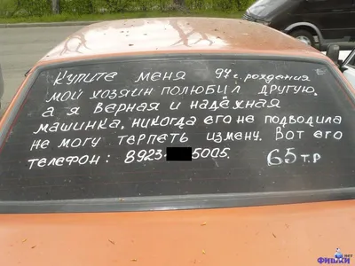 Ароматизатор для авто Приколы Пьяным за руль аромат Яблока 1073570 6,3*9см картинки