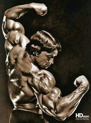 This is insane. The classic pose. | Arnold Schwarzenegger | Бодибилдинг  мотивация, Бодибилдинг, Культурист картинки