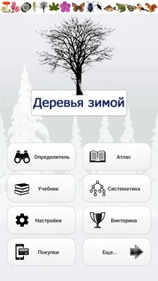 Деревья зимой. Озеро . :: tamara – Социальная сеть ФотоКто картинки