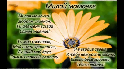 Маме, с любовью! | Татьяна и Николай | Дзен картинки