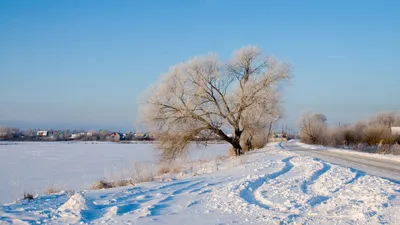 Зима обои на рабочий стол - лучшие фото картинки