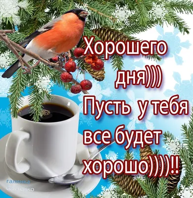 ДОБРОЕ УТРО! 🎄💖⛄🍒❄🎇❄🍒⛄💖🎄 ХОРОШЕГО НАСТРОЕНИЯ В ЛЮБУЮ ПОГОДУ! 🌨☀❄ | Доброе  утро, Счастливые картинки, Зимние цитаты картинки