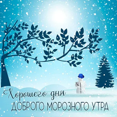 С первым днём зимы! #1декабря #👋🤗😘💃⚘️ #спервымднемзимы🎅⛄ #первый... |  TikTok картинки