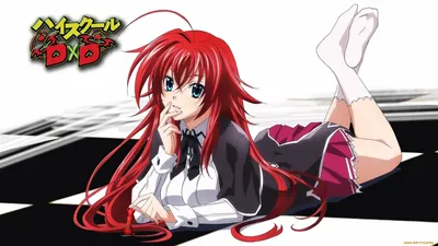 Дакимакура / аниме подушка Демоны старшей школы - Риас / Dakimakura High  school DxD - Rias Gremory купить в интернет магазине в Москве с доставкой  по РФ картинки