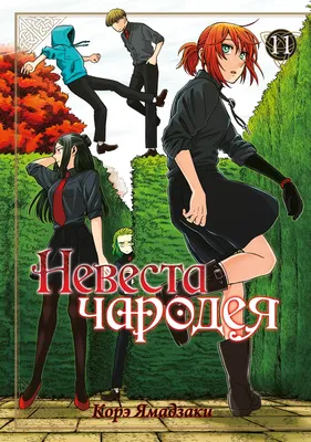 Аниме - Невеста чародея: В ожидании путеводной звезды (Mahoutsukai no Yome:  Hoshi Matsu Hito) смотреть и скачать - AniFilm картинки