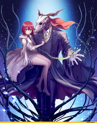 Mahou Tsukai no Yome(Невеста Чародея, Mahoutsukai no Yome) :: Anime ::  фэндомы / прикольные картинки, мемы, смешные комиксы, гифки - интересные  посты на JoyReactor / новые посты - страница 3 картинки