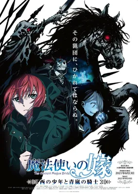 Аниме «Невеста чародея» / Mahō Tsukai no Yome / The Ancient Magus' Bride  (2017) — трейлеры, дата выхода | КГ-Портал картинки