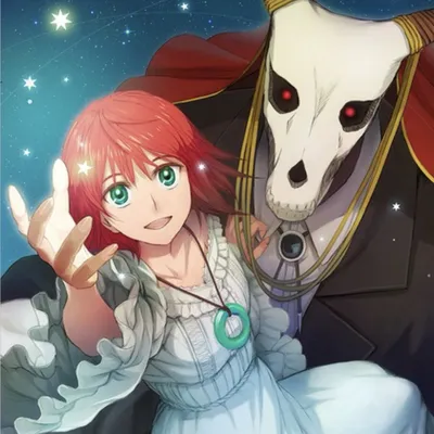 Аниме Невеста чародея / Mahou Tsukai no Yome TV [DVD] - купить недорого картинки