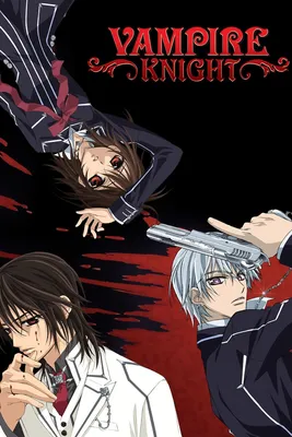 Рыцарь-вампир / Vampire Knight - аниме постер (ID#1821658088), цена: 30 ₴,  купить на Prom.ua картинки