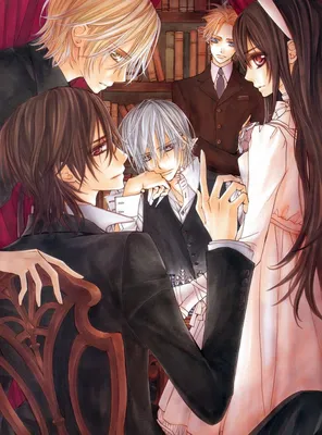 Рыцарь вампир Vampire Knight | Vampire knight yuki, Vampire knight kaname,  Vampire knight картинки