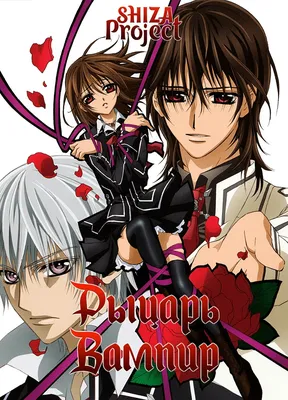 Скачать обои vampire knight, аниме, юки, yuki, канаме, рыцарь-вампир, kiryu  zero, раздел аниме в разрешении 1024x1024 картинки